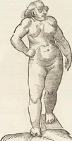 Picture 106 of 273 from Vlyssis Aldrovandi Patricii Bononiensis Monstrorvm Historia: cum Indice copiosissimo (1642), leaf 471