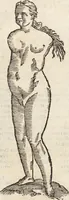 Picture 114 of 273 from Vlyssis Aldrovandi Patricii Bononiensis Monstrorvm Historia: cum Indice copiosissimo (1642), leaf 494