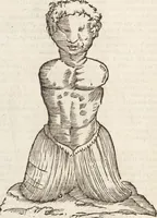 Picture 116 of 273 from Vlyssis Aldrovandi Patricii Bononiensis Monstrorvm Historia: cum Indice copiosissimo (1642), leaf 498