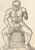 Picture 118 of 273 from Vlyssis Aldrovandi Patricii Bononiensis Monstrorvm Historia: cum Indice copiosissimo (1642), leaf 504
