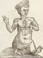 Picture 119 of 273 from Vlyssis Aldrovandi Patricii Bononiensis Monstrorvm Historia: cum Indice copiosissimo (1642), leaf 520