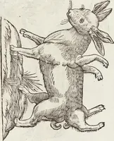 Picture 134 of 273 from Vlyssis Aldrovandi Patricii Bononiensis Monstrorvm Historia: cum Indice copiosissimo (1642), leaf 565