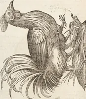 Picture 136 of 273 from Vlyssis Aldrovandi Patricii Bononiensis Monstrorvm Historia: cum Indice copiosissimo (1642), leaf 568