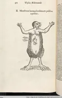 Picture 153 of 273 from Vlyssis Aldrovandi Patricii Bononiensis Monstrorvm Historia: cum Indice copiosissimo (1642), leaf 590