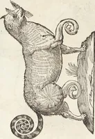 Picture 155 of 273 from Vlyssis Aldrovandi Patricii Bononiensis Monstrorvm Historia: cum Indice copiosissimo (1642), leaf 593
