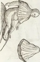 Picture 158 of 273 from Vlyssis Aldrovandi Patricii Bononiensis Monstrorvm Historia: cum Indice copiosissimo (1642), leaf 601