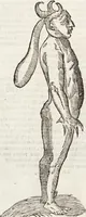 Picture 160 of 273 from Vlyssis Aldrovandi Patricii Bononiensis Monstrorvm Historia: cum Indice copiosissimo (1642), leaf 604