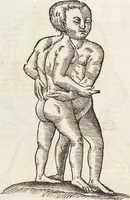 Picture 166 of 273 from Vlyssis Aldrovandi Patricii Bononiensis Monstrorvm Historia: cum Indice copiosissimo (1642), leaf 626