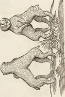 Picture 174 of 273 from Vlyssis Aldrovandi Patricii Bononiensis Monstrorvm Historia: cum Indice copiosissimo (1642), leaf 640