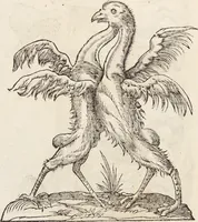An illustration from Vlyssis Aldrovandi Patricii Bononiensis Monstrorvm Historia: cum Indice copiosissimo (1642)
