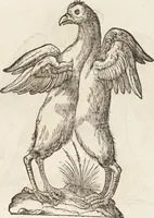 Picture 177 of 273 from Vlyssis Aldrovandi Patricii Bononiensis Monstrorvm Historia: cum Indice copiosissimo (1642), leaf 643