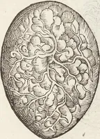 Picture 22 of 273 from Vlyssis Aldrovandi Patricii Bononiensis Monstrorvm Historia: cum Indice copiosissimo (1642), leaf 65