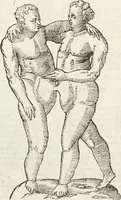 Picture 180 of 273 from Vlyssis Aldrovandi Patricii Bononiensis Monstrorvm Historia: cum Indice copiosissimo (1642), leaf 650