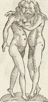 Picture 182 of 273 from Vlyssis Aldrovandi Patricii Bononiensis Monstrorvm Historia: cum Indice copiosissimo (1642), leaf 653