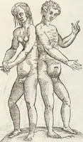 An illustration from Vlyssis Aldrovandi Patricii Bononiensis Monstrorvm Historia: cum Indice copiosissimo (1642)
