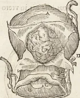 Picture 24 of 273 from Vlyssis Aldrovandi Patricii Bononiensis Monstrorvm Historia: cum Indice copiosissimo (1642), leaf 67