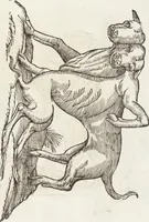Picture 189 of 273 from Vlyssis Aldrovandi Patricii Bononiensis Monstrorvm Historia: cum Indice copiosissimo (1642), leaf 675