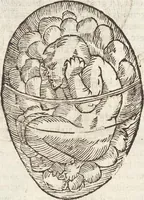 Picture 25 of 273 from Vlyssis Aldrovandi Patricii Bononiensis Monstrorvm Historia: cum Indice copiosissimo (1642), leaf 68