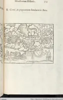 Picture 211 of 273 from Vlyssis Aldrovandi Patricii Bononiensis Monstrorvm Historia: cum Indice copiosissimo (1642), leaf 737