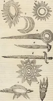 Picture 212 of 273 from Vlyssis Aldrovandi Patricii Bononiensis Monstrorvm Historia: cum Indice copiosissimo (1642), leaf 742