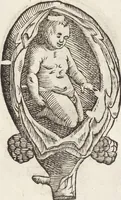 Picture 34 of 273 from Vlyssis Aldrovandi Patricii Bononiensis Monstrorvm Historia: cum Indice copiosissimo (1642), leaf 75