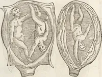 Picture 38 of 273 from Vlyssis Aldrovandi Patricii Bononiensis Monstrorvm Historia: cum Indice copiosissimo (1642), leaf 78