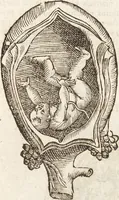 Picture 39 of 273 from Vlyssis Aldrovandi Patricii Bononiensis Monstrorvm Historia: cum Indice copiosissimo (1642), leaf 79