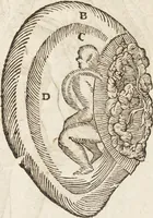 Picture 42 of 273 from Vlyssis Aldrovandi Patricii Bononiensis Monstrorvm Historia: cum Indice copiosissimo (1642), leaf 81
