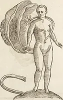 Picture 43 of 273 from Vlyssis Aldrovandi Patricii Bononiensis Monstrorvm Historia: cum Indice copiosissimo (1642), leaf 82