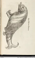 Picture 233 of 273 from Vlyssis Aldrovandi Patricii Bononiensis Monstrorvm Historia: cum Indice copiosissimo (1642), leaf 857