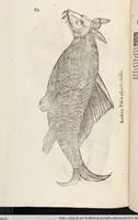 Picture 234 of 273 from Vlyssis Aldrovandi Patricii Bononiensis Monstrorvm Historia: cum Indice copiosissimo (1642), leaf 858