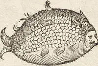 Picture 240 of 273 from Vlyssis Aldrovandi Patricii Bononiensis Monstrorvm Historia: cum Indice copiosissimo (1642), leaf 872