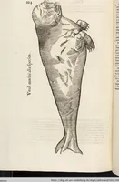 Picture 254 of 273 from Vlyssis Aldrovandi Patricii Bononiensis Monstrorvm Historia: cum Indice copiosissimo (1642), leaf 898