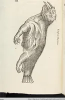 Picture 255 of 273 from Vlyssis Aldrovandi Patricii Bononiensis Monstrorvm Historia: cum Indice copiosissimo (1642), leaf 900