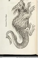Picture 256 of 273 from Vlyssis Aldrovandi Patricii Bononiensis Monstrorvm Historia: cum Indice copiosissimo (1642), leaf 902