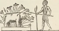 Picture 268 of 273 from Vlyssis Aldrovandi Patricii Bononiensis Monstrorvm Historia: cum Indice copiosissimo (1642), leaf 936