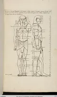 An illustration from Les Proportions Du Corps Humain: Mesurées sur les plus belles Figures de l'Antiquité (1683)
