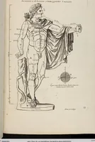 Picture 7 of 13 from Les Proportions Du Corps Humain: Mesurées sur les plus belles Figures de l'Antiquité (1683), leaf 32