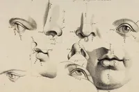 An illustration from Les Proportions Du Corps Humain: Mesurées sur les plus belles Figures de l'Antiquité (1683)