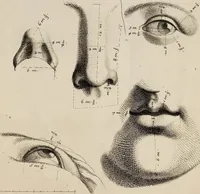An illustration from Les Proportions Du Corps Humain: Mesurées sur les plus belles Figures de l'Antiquité (1683)