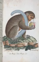 An illustration from (Band 1): Erstes Hundert (1795)