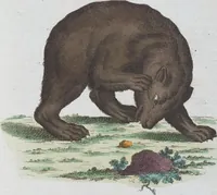 An illustration from (Band 1): Erstes Hundert (1795)