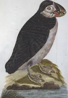 An illustration from (Band 1): Erstes Hundert (1795)