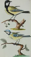 An illustration from (Band 1): Erstes Hundert (1795)