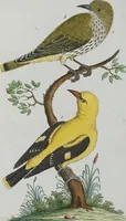 An illustration from (Band 1): Erstes Hundert (1795)