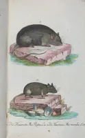 An illustration from (Band 1): Erstes Hundert (1795)