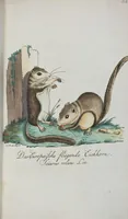 An illustration from (Band 1): Erstes Hundert (1795)