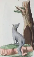 An illustration from (Band 1): Erstes Hundert (1795)