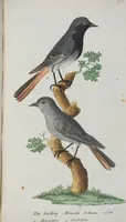 An illustration from (Band 1): Erstes Hundert (1795)