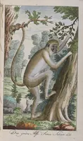 Picture 24 of 102 from (Band 2): Zweytes Hundert (1796), leaf 137